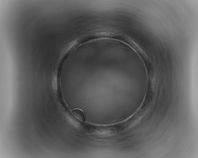 X0000115310729200911091136