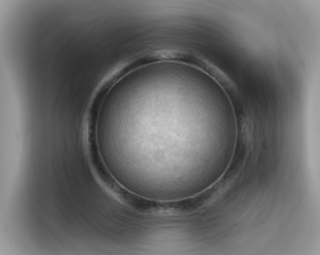 X0000115310730200911091136