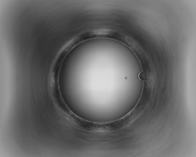 X0000115310731200911091136