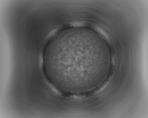X0000115310733200911091136