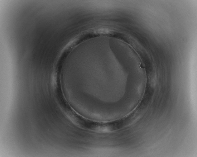X0000115310735200911091136