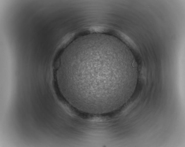 X0000115310738200911091136