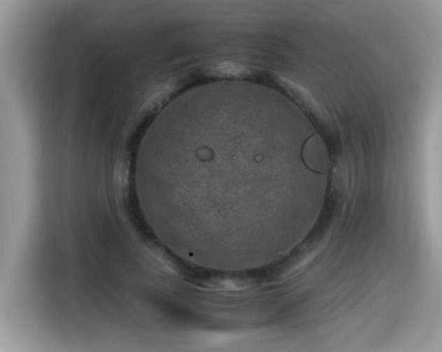 X0000115310739200911091136