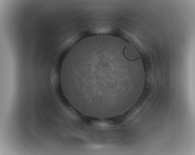 X0000115310743200911091136