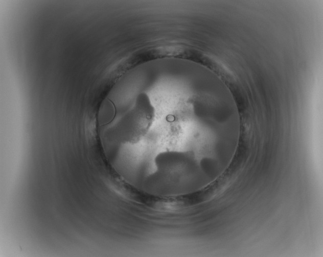 X0000115310745200911091136