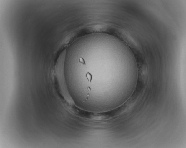 X0000115310746200911091136
