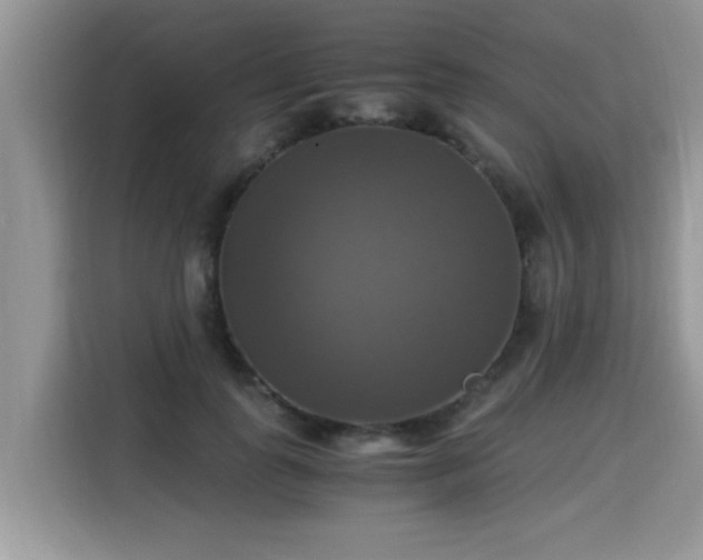 X0000115310747200911091136