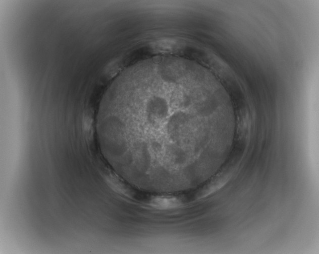 X0000115310749200911091136
