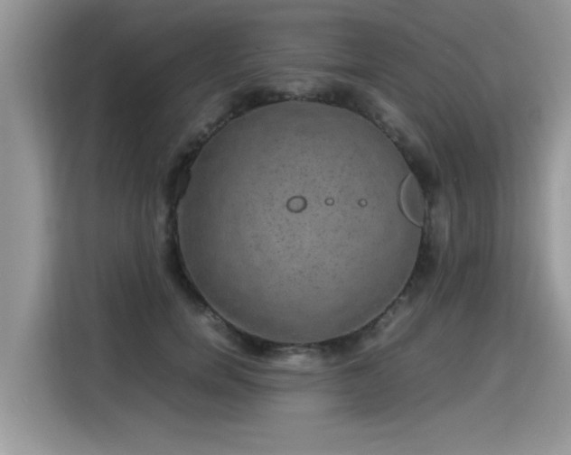 X0000115310750200911091136