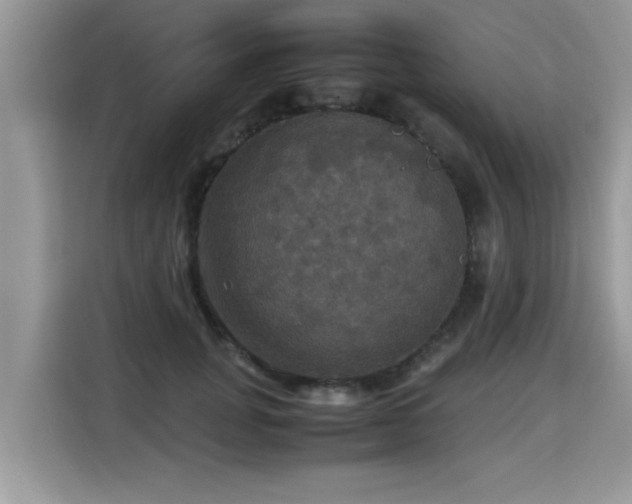 X0000115310751200911091136
