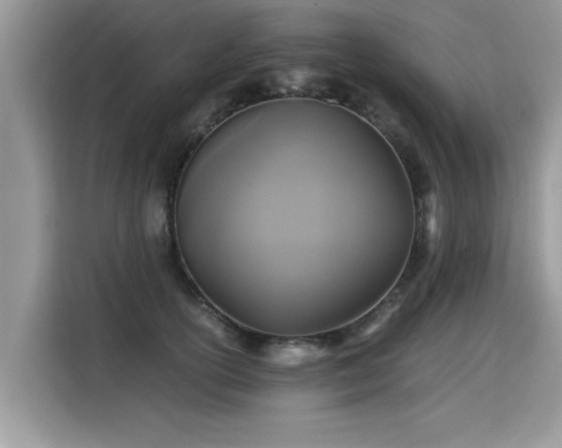 X0000115310754200911091137