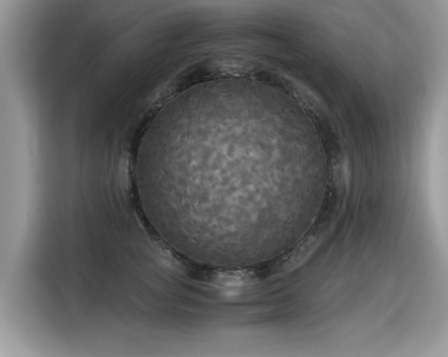 X0000115310757200911091137