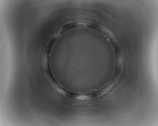 X0000115310759200911091137