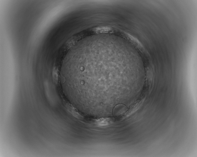 X0000115310761200911091137