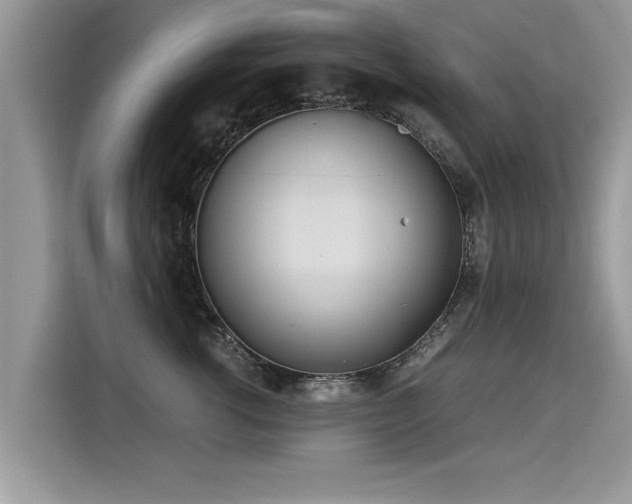 X0000115310762200911091137