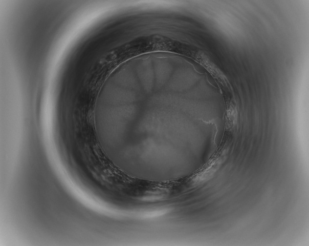 X0000115310765200911091137