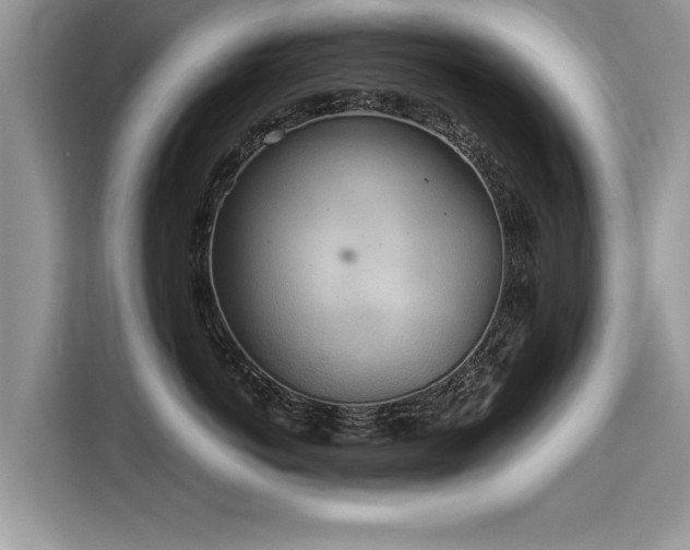 X0000115310766200911091137