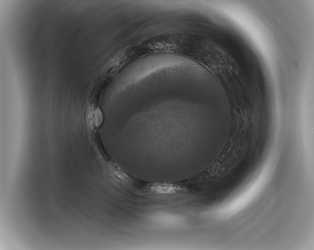 X0000115310767200911091137