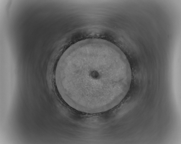 X0000115310769200911091136