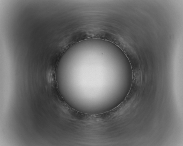 X0000115310770200911091136
