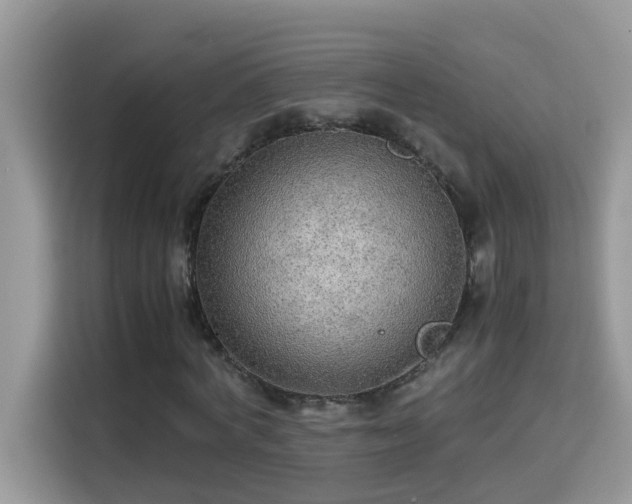 X0000115310772200911091136