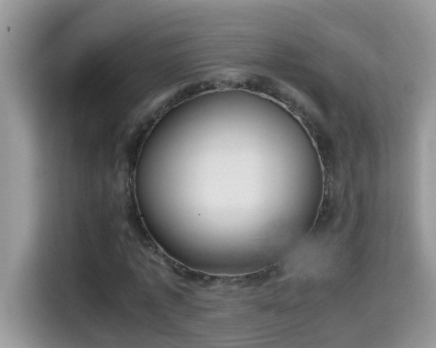 X0000115310773200911091136