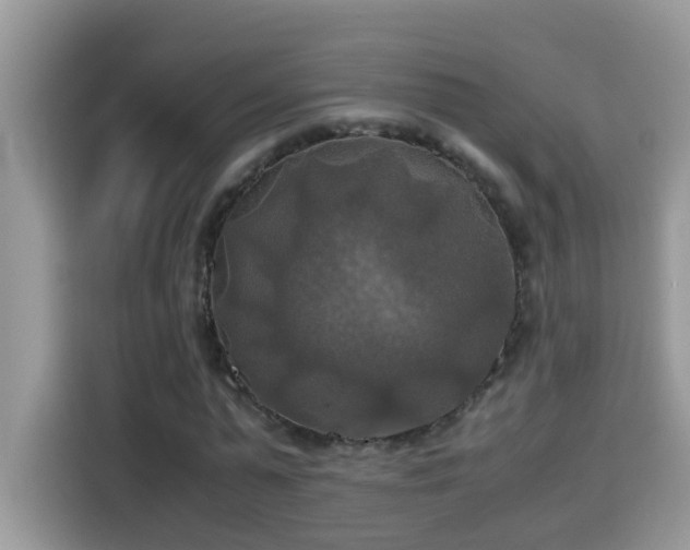X0000115310775200911091136