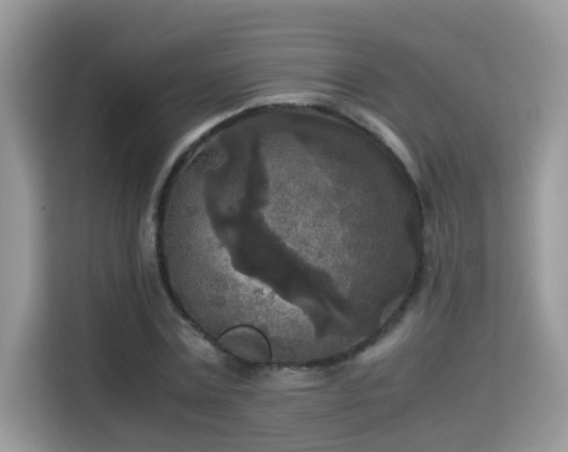 X0000115310779200911091136