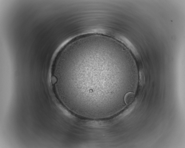 X0000115310780200911091136