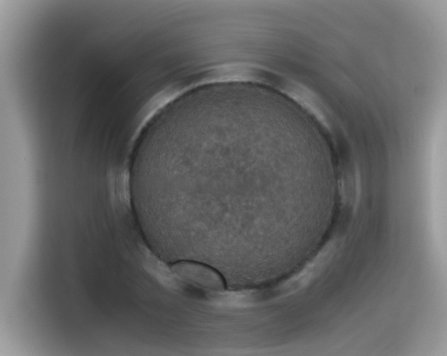 X0000115310781200911091136