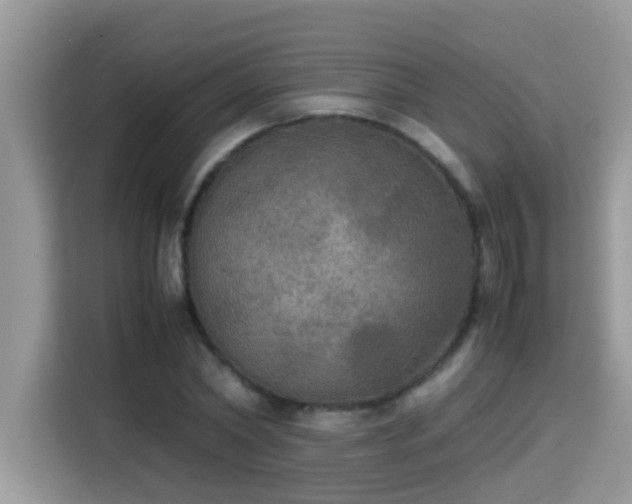 X0000115310782200911091136