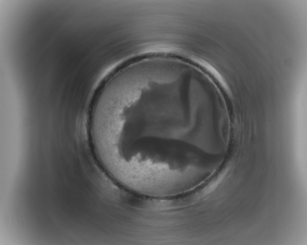 X0000115310783200911091136