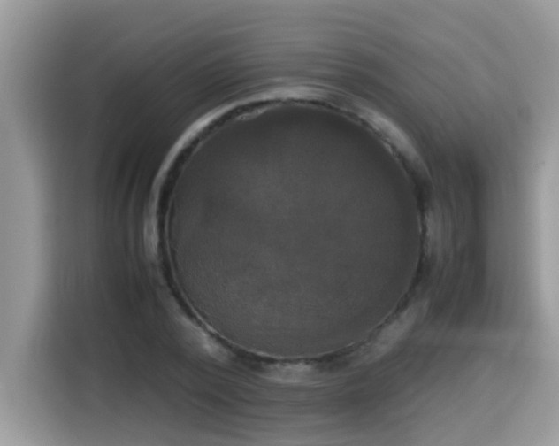 X0000115310784200911091136