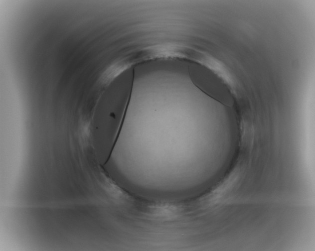 X0000115310785200911091136