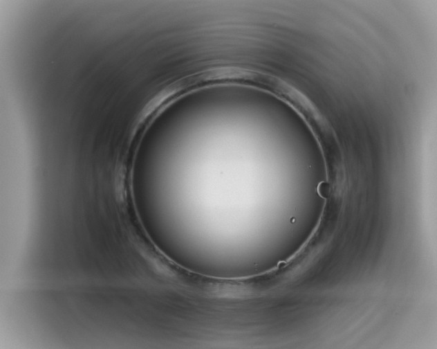 X0000115310786200911091136