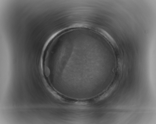 X0000115310788200911091136