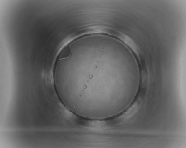 X0000115310789200911091136