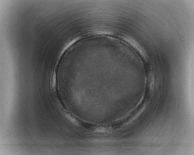 X0000115310790200911091136