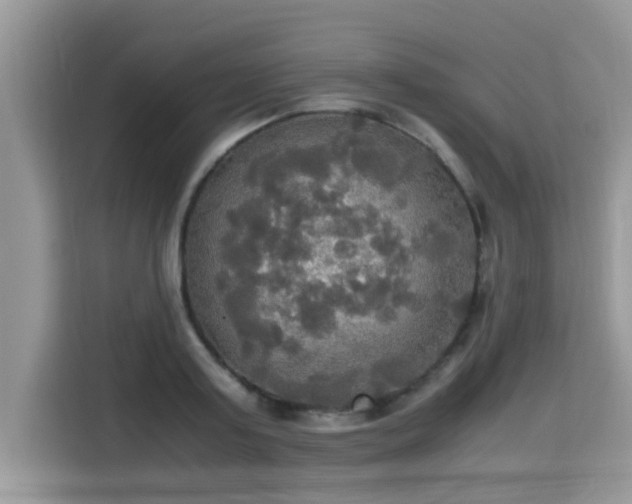 X0000115310795200911091136