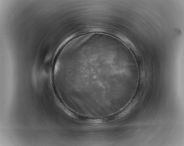 X0000115310798200911091136
