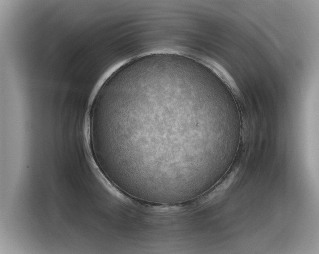 X0000115310804200911091136