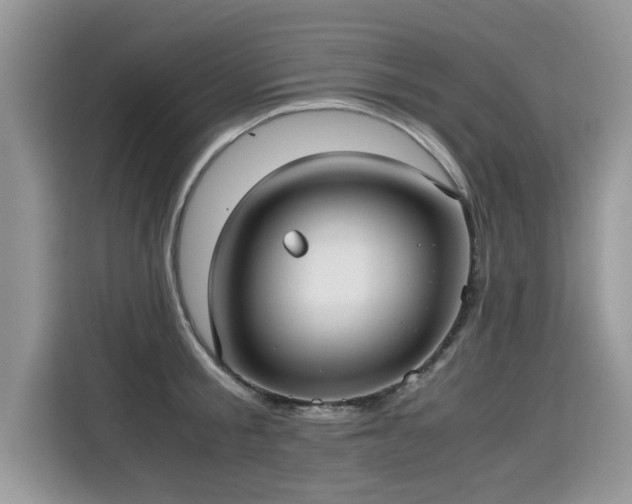 X0000115310805200911091136