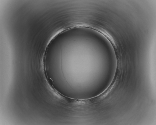 X0000115310806200911091136