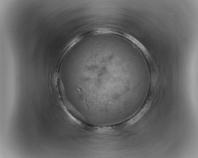 X0000115310809200911091136