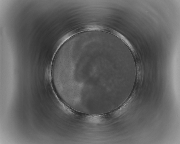 X0000115310810200911091136