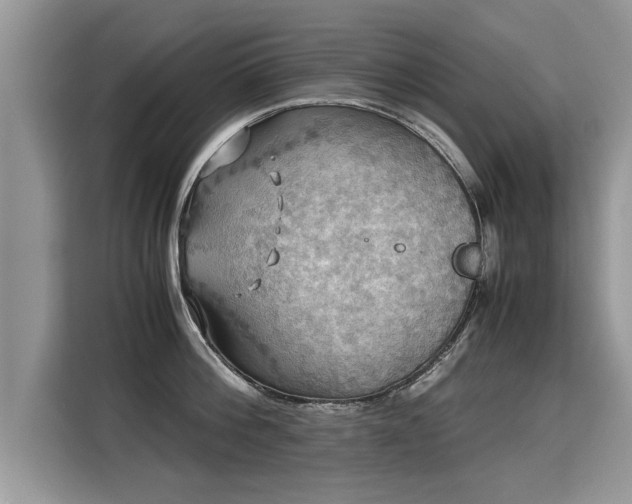 X0000115310812200911091136