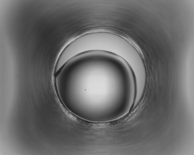 X0000115310813200911091135