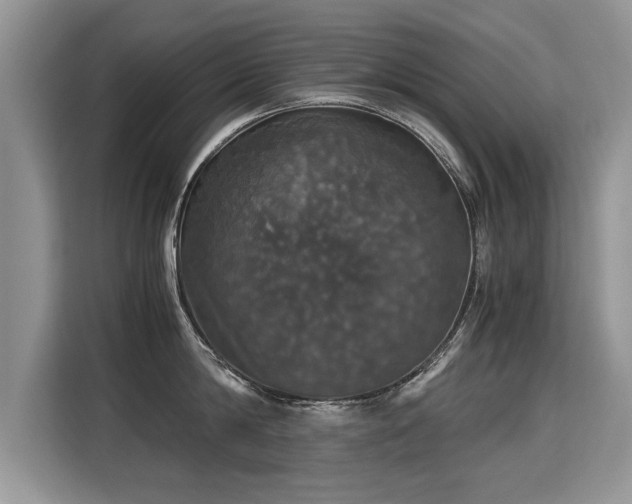 X0000115310814200911091135