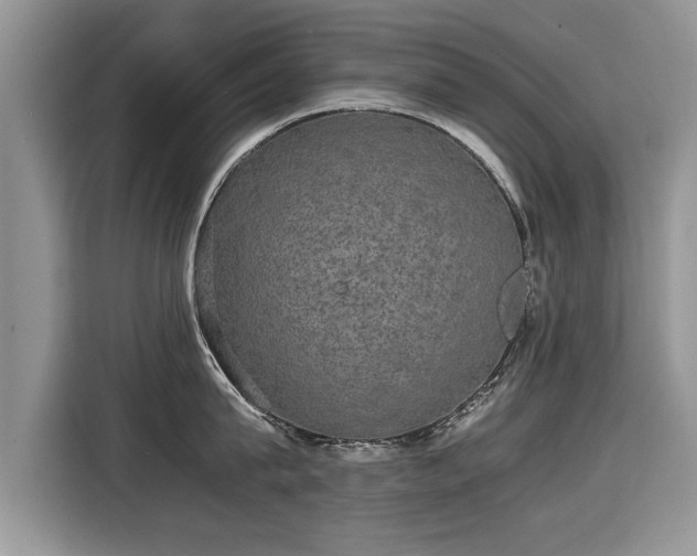X0000115310815200911091135