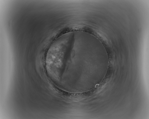 X0000115310817200911091135